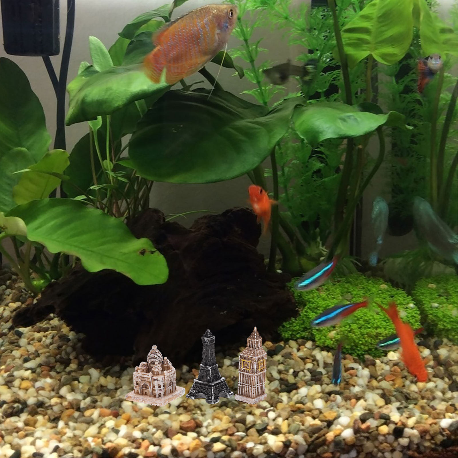 Aquarium & Marine Museum Universiti Malaysia Sabah Kota Kinabalu Sabah Reviews - 7Pcs 미니어처 로마 동상 상세한 수지