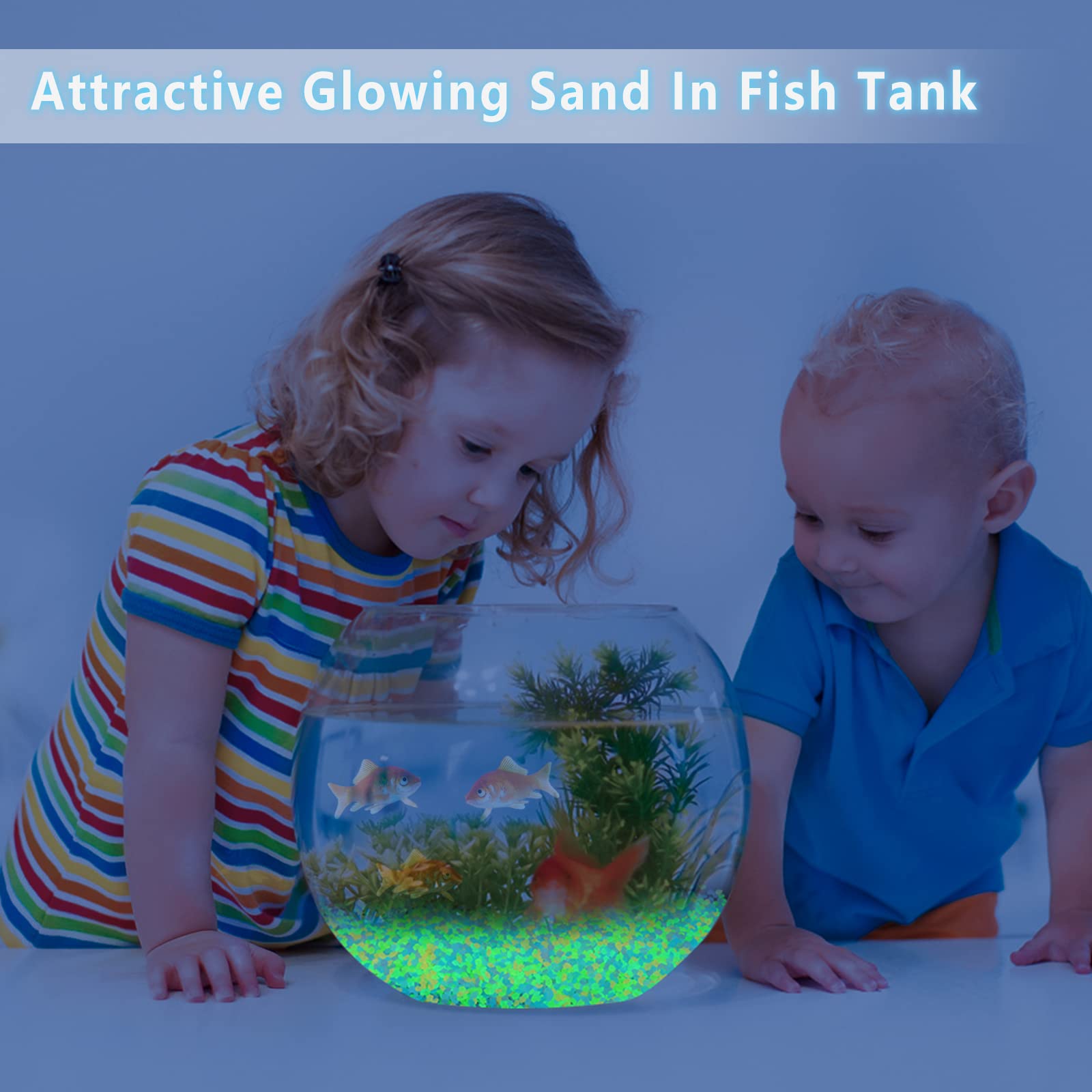 1000개 발광 모래 어둠 속에서 빛나는 자갈 돌 가정 - Aquarium Marine Tank 리뷰 및 가격