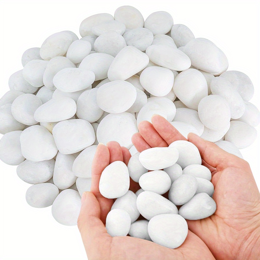 200/400g 흰색 고광택 천연 자갈 2-3cm 마당 - Aquarium Marine Tank 리뷰 및 가격