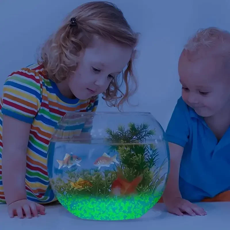 1000pcs 어두운 자갈 돌에 3-5mm 빛나는 모래 - Aquarium Marine Tank 리뷰 및 가격