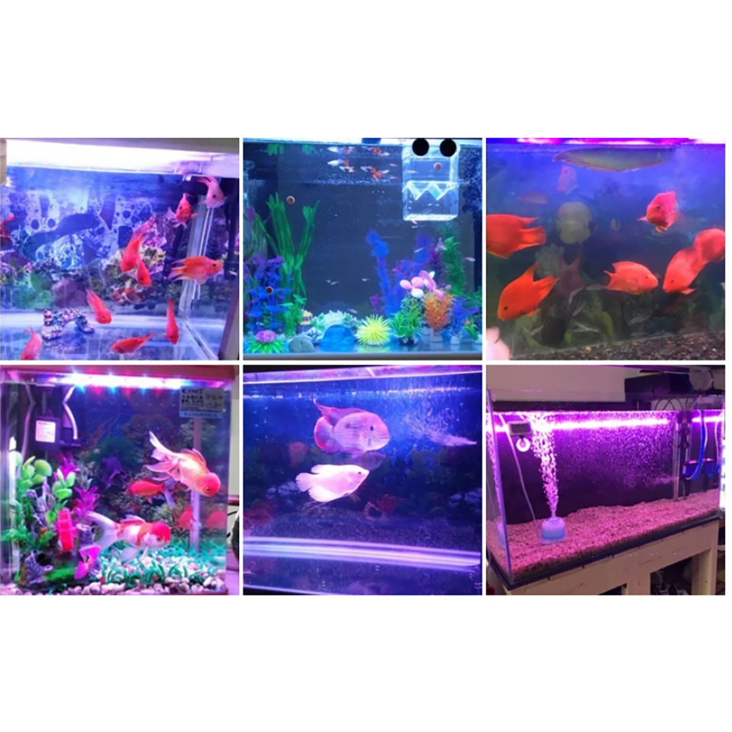 50W 60W 70W 100W RGB 26-28V 고출 - Marine Aquarium Uv Light 리뷰 및 가격
