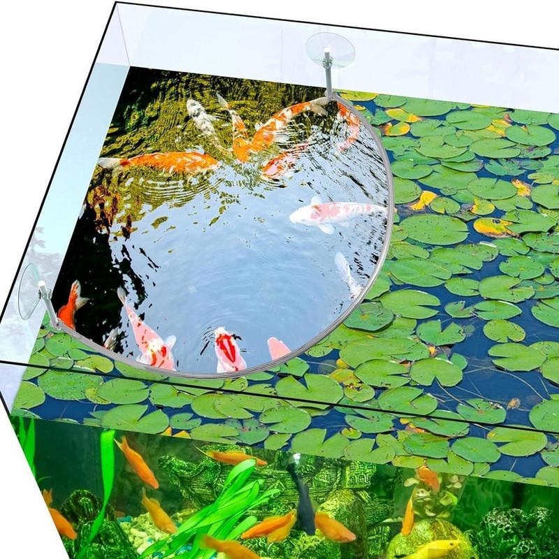 부동 식물 마구간 물고기 먹이 링 분리 및 보호 부동  - Aquarium Marine Filter 리뷰 및 가격