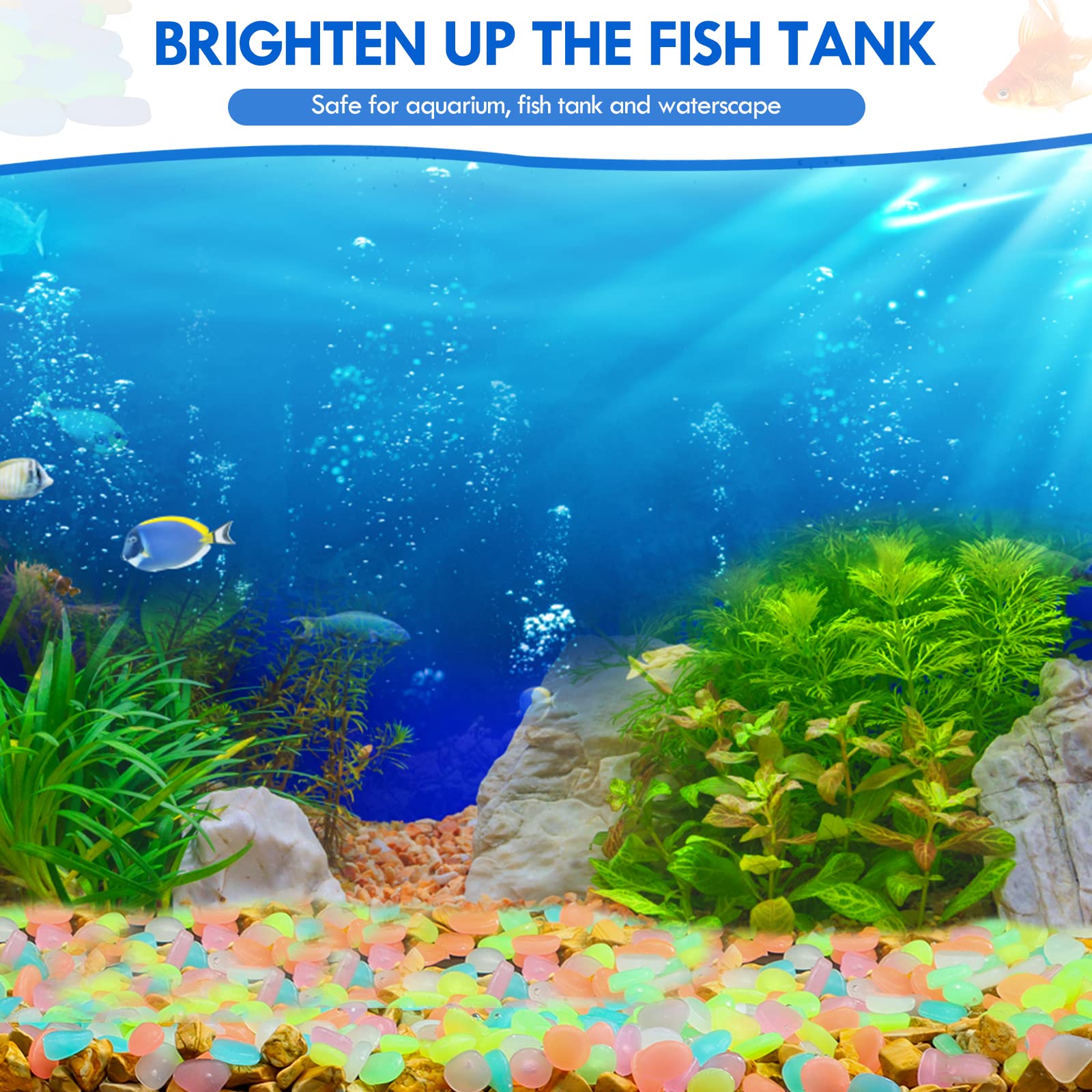 100Pcs 보도 정원 테라스 잔디 정원 파티오 물고기 - Aquarium Marine Tank 리뷰 및 가격