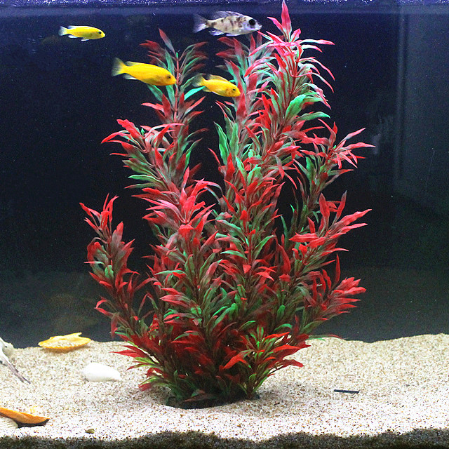 50CM 인조 어항 희귀 식물 수족관 가짜 대나무 잎  - Aquarium Marine Tank 리뷰 및 가격