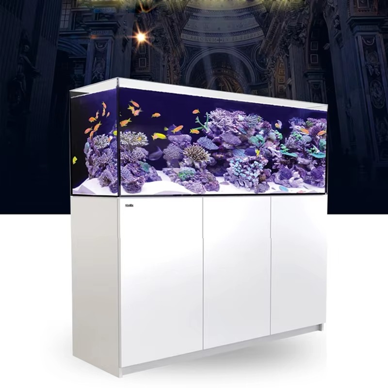 고품질 림리스 맞춤형 대형 150갤런 풀세트 해수어 수 - Aquarium Marine Setup 리뷰 및 가격