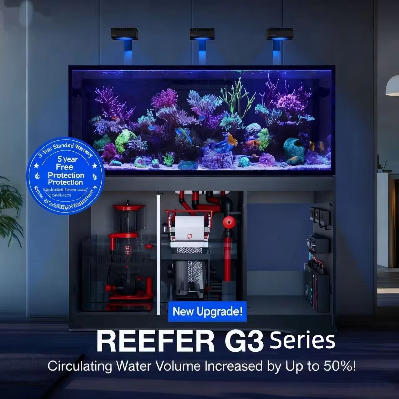 고품질 림리스 맞춤형 대형 150갤런 풀세트 해수어 수 - Aquarium Marine Setup 리뷰 및 가격