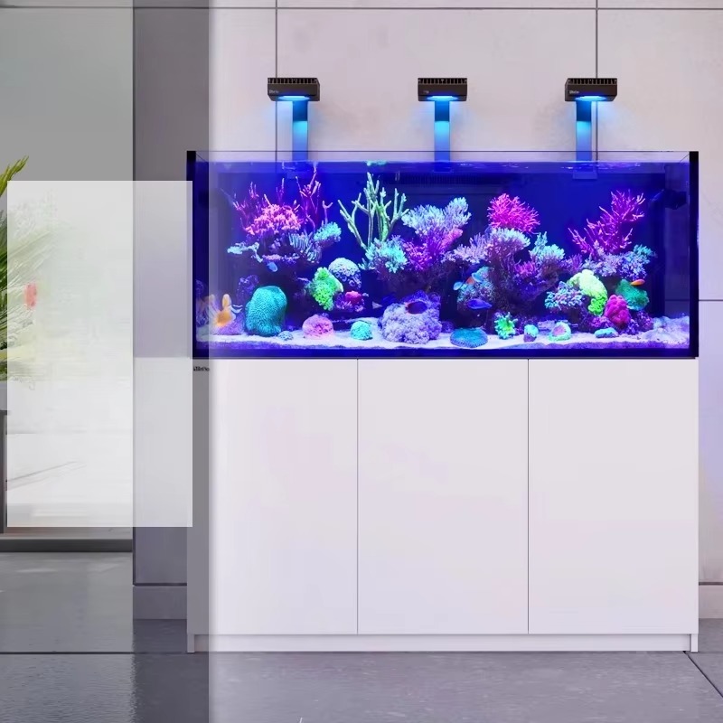 고품질 림리스 맞춤형 대형 150갤런 풀세트 해수어 수 - Aquarium Marine Setup 리뷰 및 가격