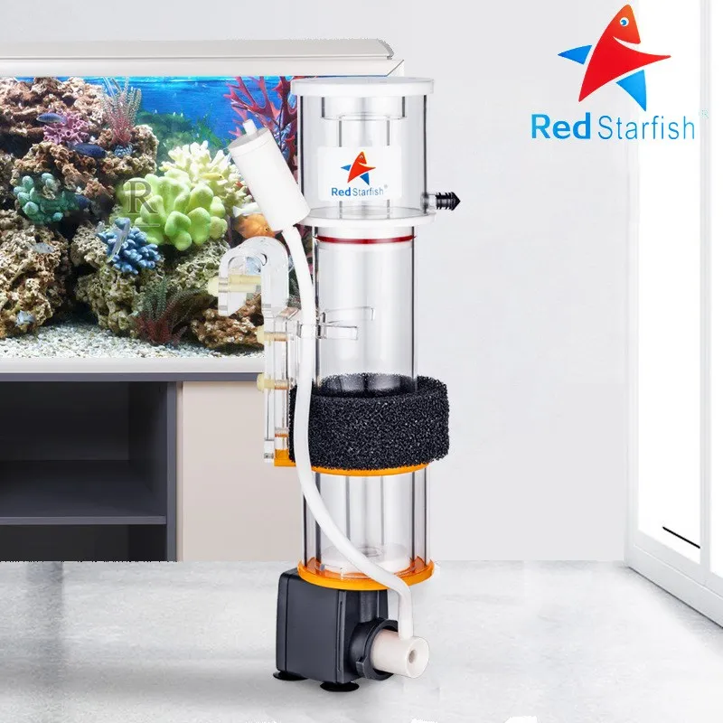 레드 스타피쉬 프로틴 스키머 초저소음 프로틴 분리기 질 - Marine Aquarium & Regional Centre Photos 리뷰 및 가격