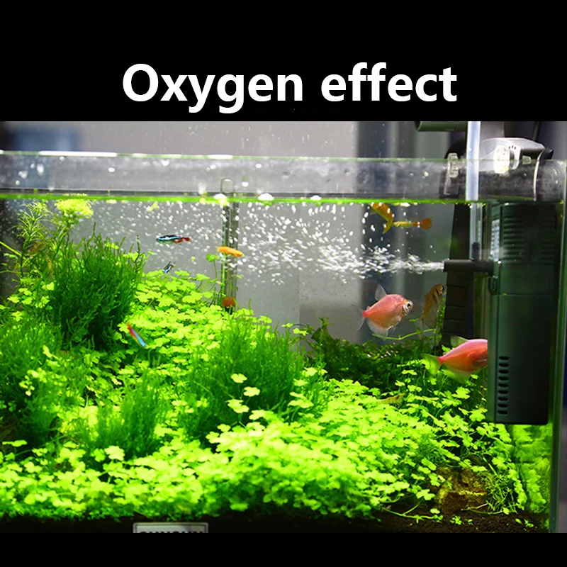 SUNSUN 미니 나노 수중 산소 펌프, 물고기 거북이 - Marine Aquarium Uv Filter 리뷰 및 가격